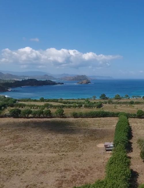 morobay sumbawa indonesia (1)