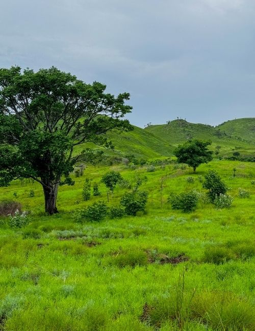Your journey to coastal living morobay